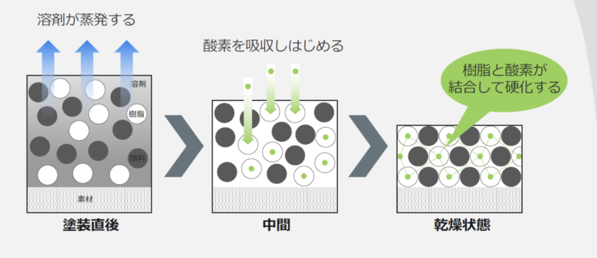 酸化重合硬化型の乾燥メカニズム